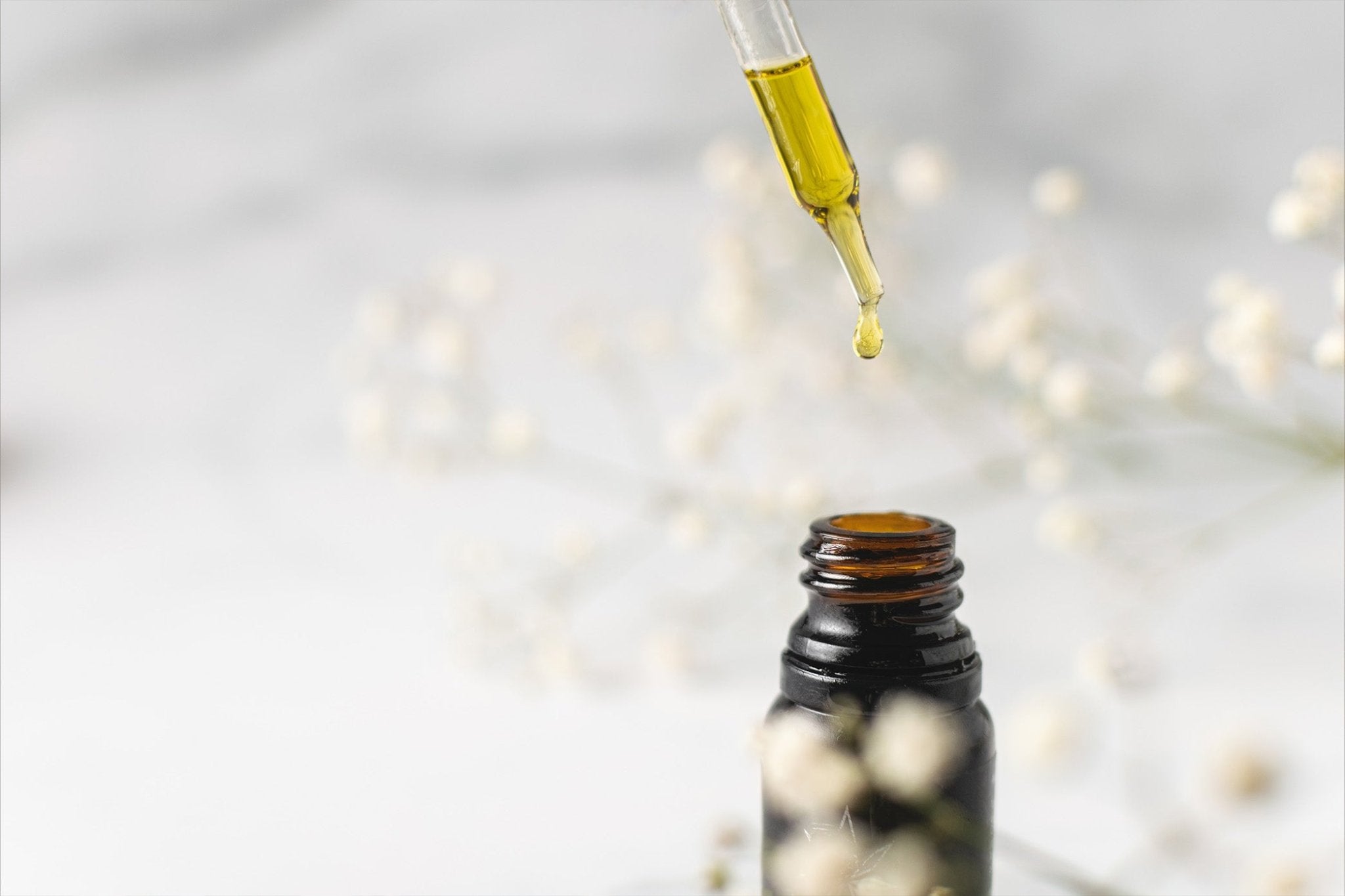 Navigating the World of CBD: A Beginner’s Guide to CBD Products - SwissPeakCBD