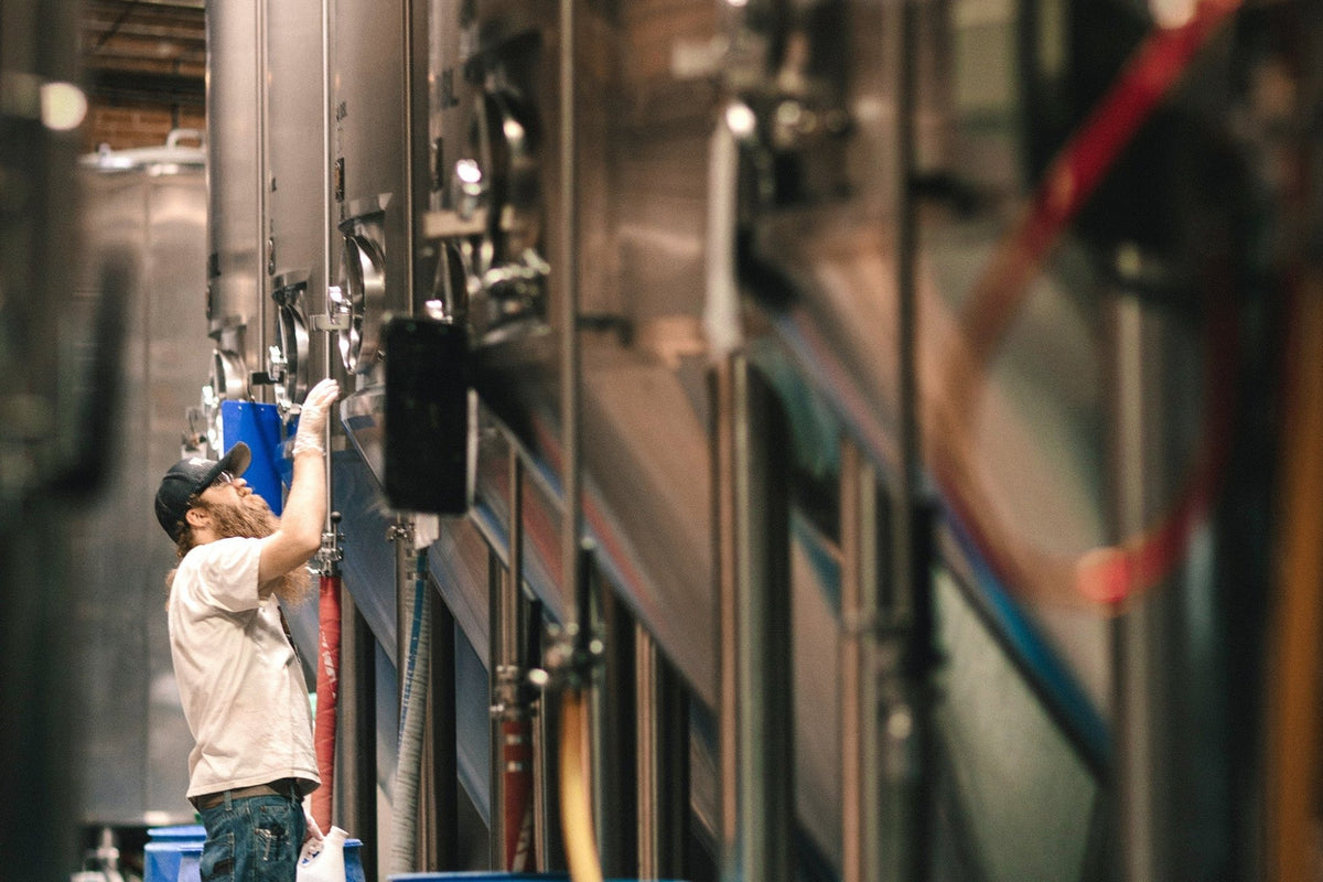 The Art of Extracting CBD: A Dive into Techniques and Quality - Swiss Peak