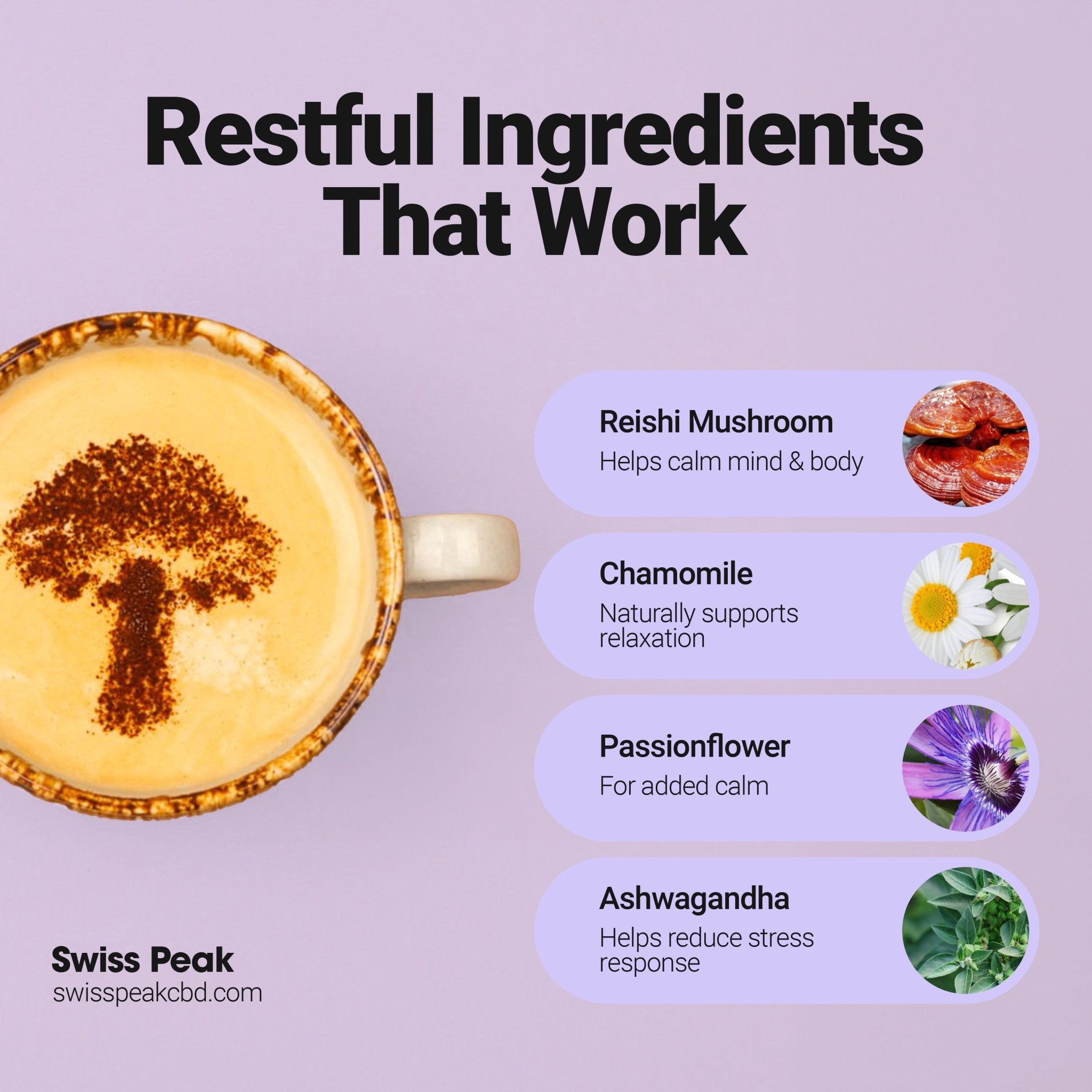 Sleep Mushroom Cacao Blend | 240g - SwissPeakCBD